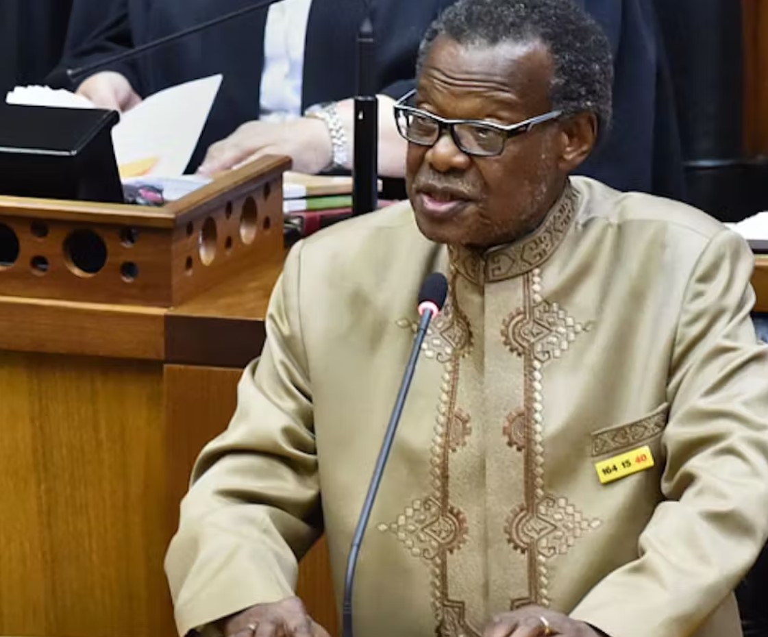 Chief Buthelezi