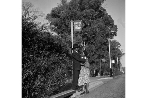 Love Story Sophiatown