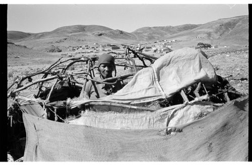 constructing a matjieshuis, Lekkersig