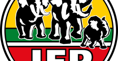 IFP Logo