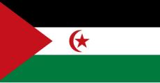 https://flagpedia.net/western-sahara