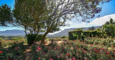 https://www.capetown.travel/wp-content/uploads/Wynberg-chart-farm.jpg